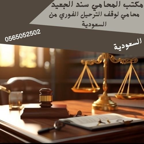 محامي لوقف الترحيل الفوري من السعودية1