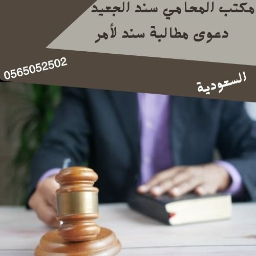 دعوى مطالبة سند لأمر