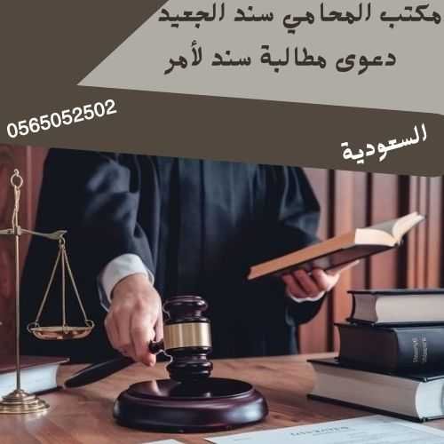دعوى مطالبة سند لأمر1